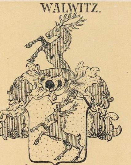 Walwitz Coat of Arms / Family Crest 2