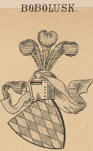 Bobolusk Coat of Arms / Family Crest 1