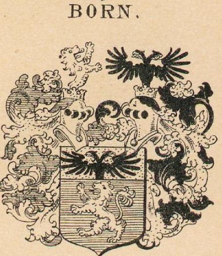 Born Coat of Arms / Family Crest 13