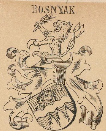 Bosnyak Coat of Arms / Family Crest 4