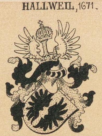 Hallweil Coat of Arms / Family Crest 3