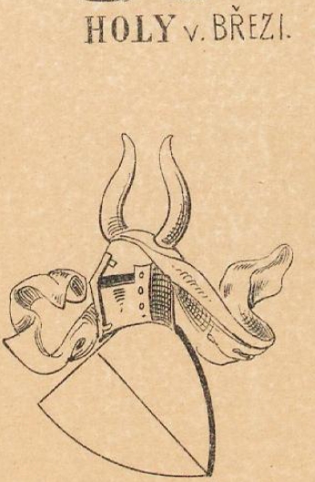 Holy Coat of Arms / Family Crest 5