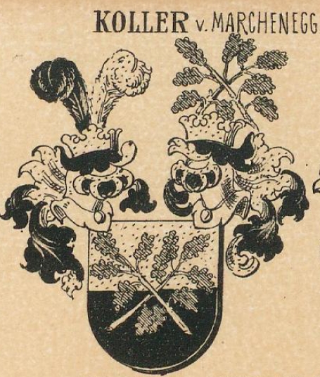 Koller Coat of Arms / Family Crest 22