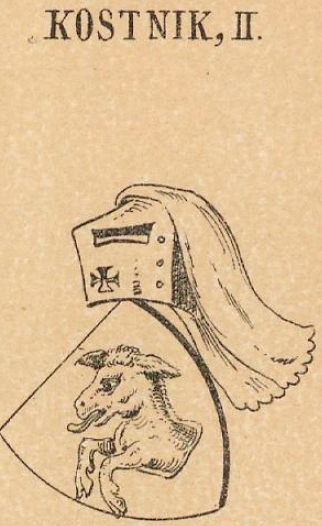 Kostnik Coat of Arms / Family Crest 1