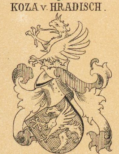 Koza Coat of Arms / Family Crest 0