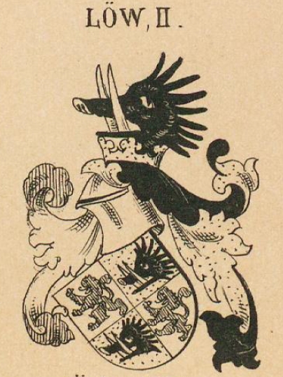 Low Coat of Arms / Family Crest 7