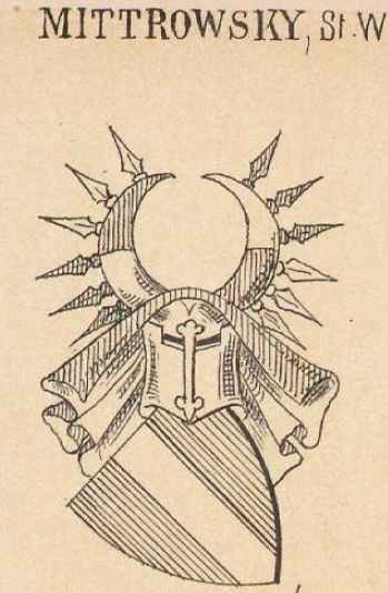 Mittrowsky Coat of Arms / Family Crest 5