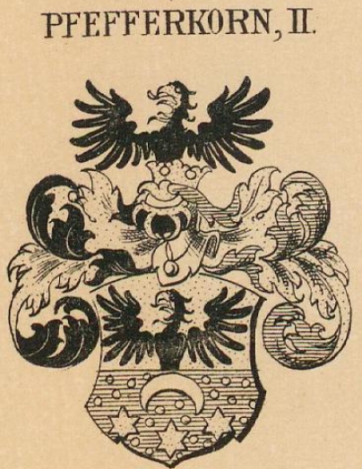 Pfefferkorn Coat of Arms / Family Crest 3