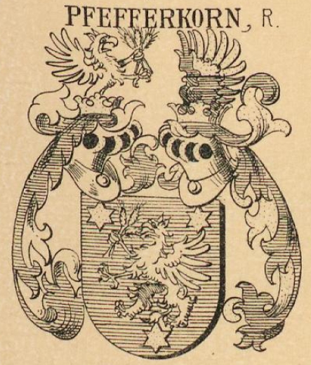 Pfefferkorn Coat of Arms / Family Crest 4
