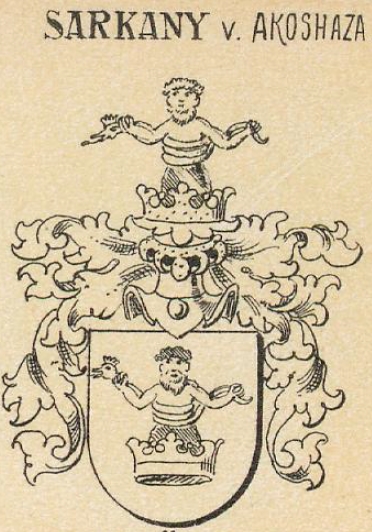 Sarkany Coat of Arms / Family Crest 4