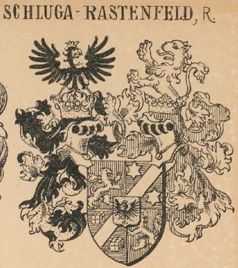 schluga Coat of Arms / Family Crest 1