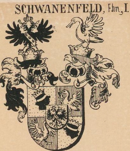 Schwanenfeld Coat of Arms / Family Crest 1