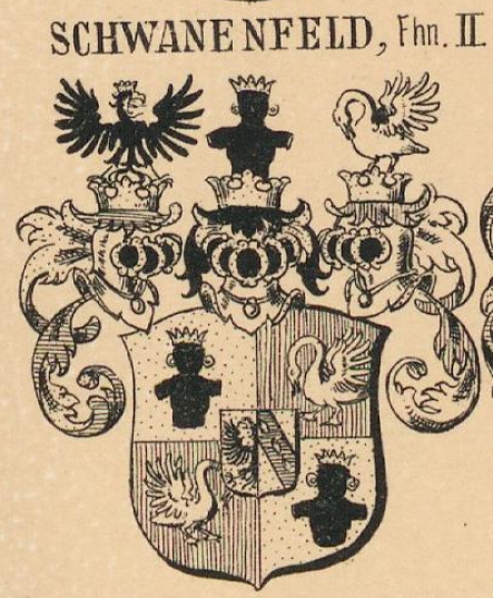 Schwanenfeld Coat of Arms / Family Crest 2