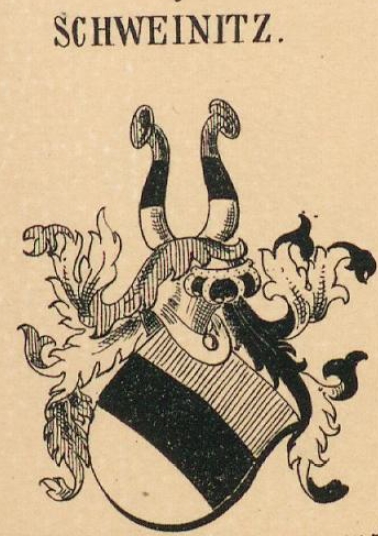 Schweinitz Coat of Arms / Family Crest 13