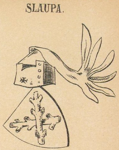 Slaupa Coat of Arms / Family Crest 0