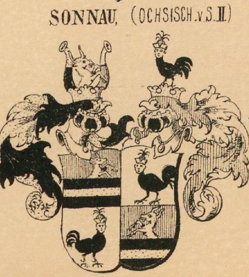 Sonnau Coat of Arms / Family Crest 2