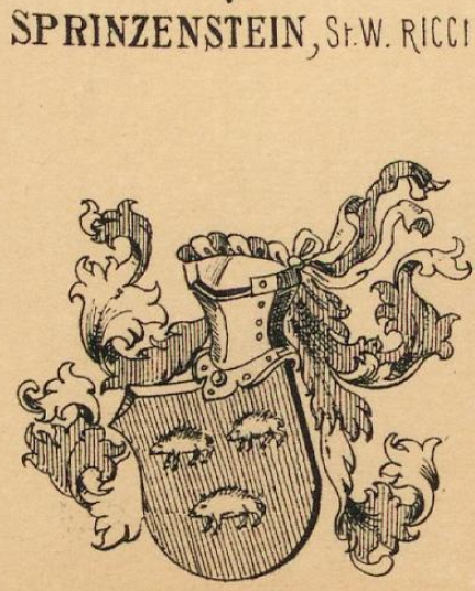 Sprinzenstein Coat of Arms / Family Crest 1