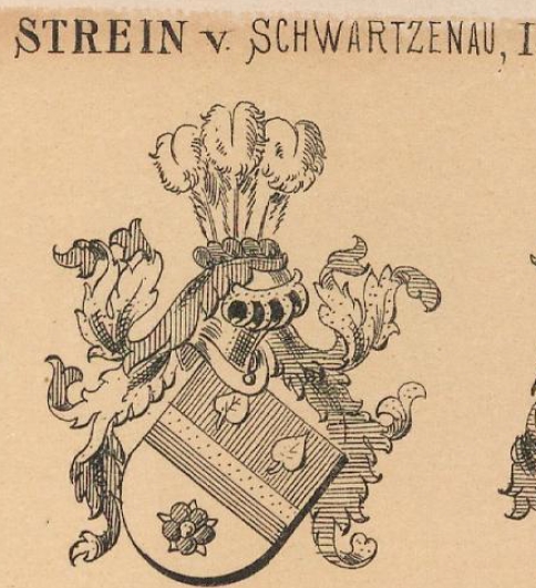 Strein Coat of Arms / Family Crest 4