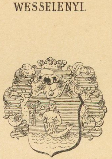 Wesselenyi Coat of Arms / Family Crest 4