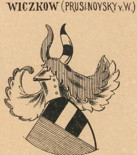 Wiczkow Coat of Arms / Family Crest 1