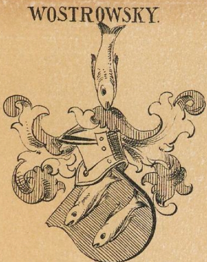 Wostrowsky Coat of Arms / Family Crest 1