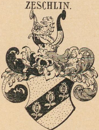 Zeschlin Coat of Arms / Family Crest 3