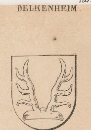 Delkenheim Coat of Arms / Family Crest 0