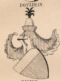 Dotzheim Coat of Arms / Family Crest 0