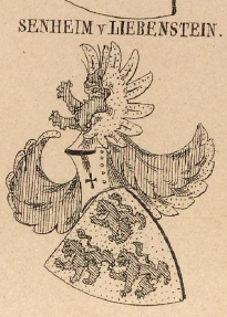 Senheim Coat of Arms / Family Crest 1