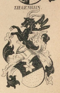 Ziegenhain Coat of Arms / Family Crest 0