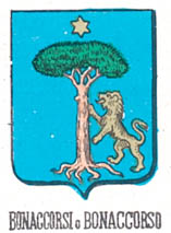 Bonaccorsi Coat of Arms / Family Crest 6