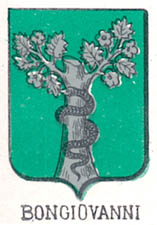 Bongiovanni Coat of Arms / Family Crest 0