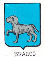 Bracco Coat of Arms / Family Crest 0