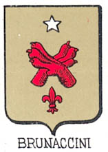 Brunaccini Coat of Arms / Family Crest 1