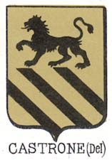 Castrone Coat of Arms / Family Crest 0