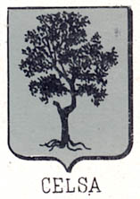 Celsa Coat of Arms / Family Crest 0