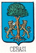 Coharasa Coat of Arms / Family Crest 0