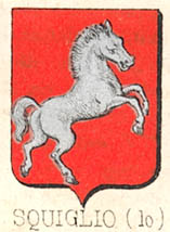 Squiglio Coat of Arms / Family Crest 0