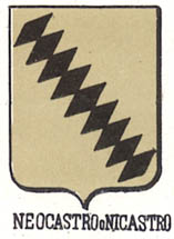 Neocastro Coat of Arms / Family Crest 0