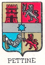 Pettine Coat of Arms / Family Crest 0