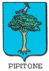 Pipitone Coat of Arms / Family Crest 0
