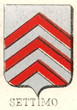 Settimo Coat of Arms / Family Crest 1
