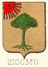 Sicomo Coat of Arms / Family Crest 1