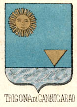 Trigona Coat of Arms / Family Crest 2