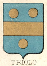 Triolo Coat of Arms / Family Crest 1