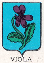 Viola Coat of Arms / Family Crest 1
