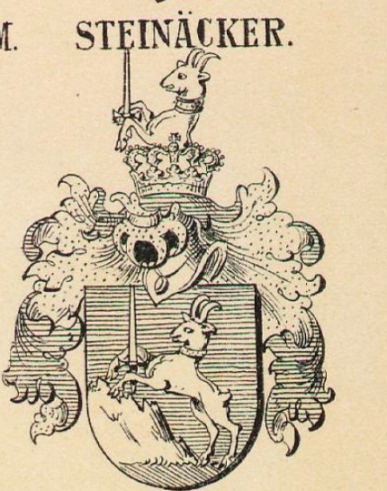 Steinacker Coat of Arms / Family Crest 1