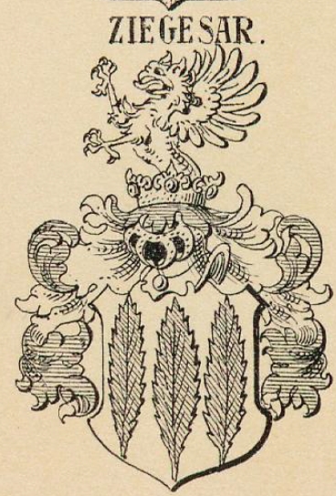 Ziegesar Coat of Arms / Family Crest 1