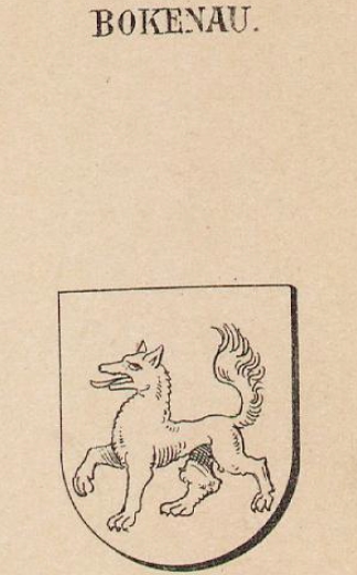 Bokenau Coat of Arms / Family Crest 0