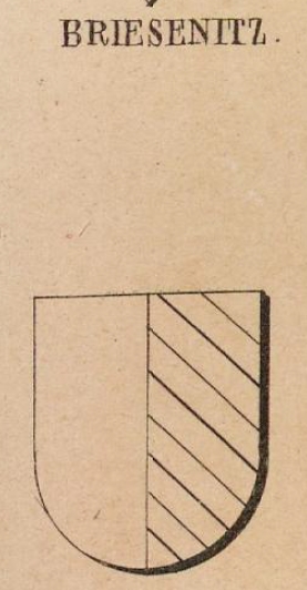 Briesnenitz Coat of Arms / Family Crest 0